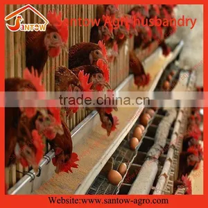 Chicken Use Welded Wire Chicken Layer Cages Poultry Cages Feeding Systems thumbnail-1