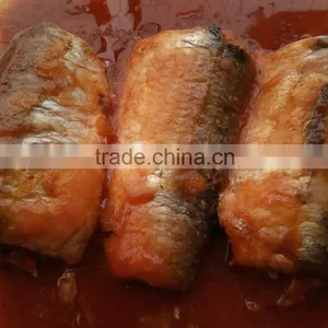 Producers of Sardine Food Cans thumbnail-4