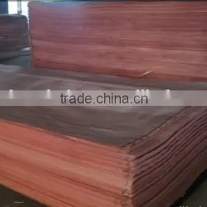 1270 mm x 640 mm Natural Eucalyptus Wood Rotary Cut Core Veneer thumbnail-1