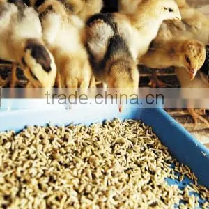Mini Pellet Machine Price thumbnail-2