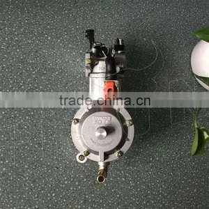 BISON(CHINA) LPG Biogas Conversion Kit For Gasoline Gas Generator Quality Choice thumbnail-2