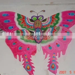 Chinese Tradtional Kite thumbnail-1