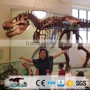 Indoor Exhibition Life Size Artificial Dinosaur Skeleton thumbnail-1