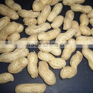 Chinese Peanut Kernels in Shell With High Quality for Sale thumbnail-5