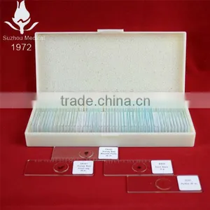University Students Study Animal Histology Zoology Different Prepared Slides thumbnail-1