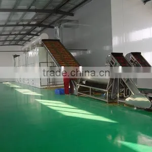 Dry Red Chaotian Chili thumbnail-5