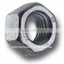 Stainless Steel Hex Nut thumbnail-1