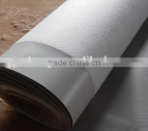 Reinforced PVC Waterproof Membrane thumbnail-1
