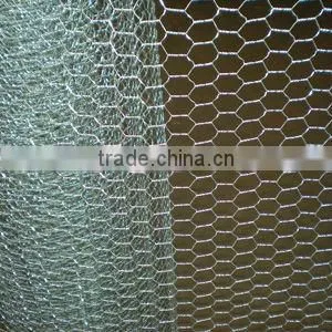 Hexagonal Wire Mesh/Wire Netting (DIRECT BY FACTORY ) thumbnail-1