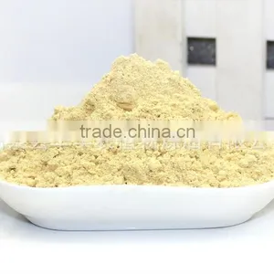 Dried Ginger Powder Hight Quality Ginger Root Extract Powder thumbnail-3