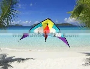 Dual Line Delta Stunt Kites - Curved Edge Kites thumbnail-1