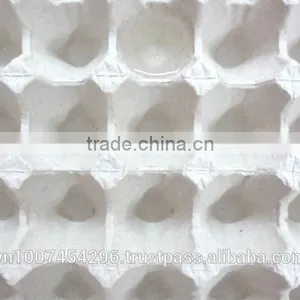 Egg Tray-30 thumbnail-3