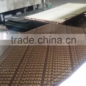 Film Faced Plywood With Printing Logo thumbnail-3