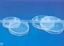 100 mm Petri Dish thumbnail-1