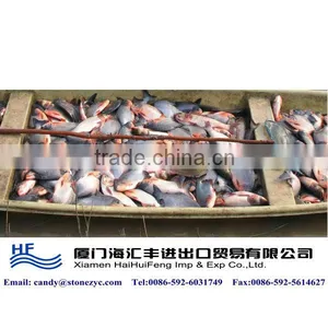 New Season Pomfret on Sale thumbnail-1