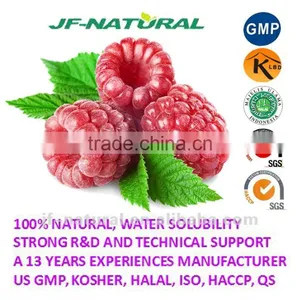 Food Grade Raspberry Powder Manufacture ISO, GMP, HACCP, KOSHER, HALAL Certificated thumbnail-1