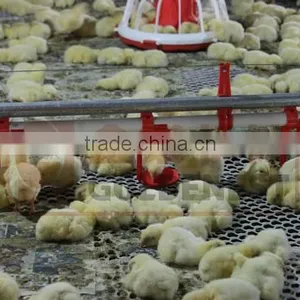 ^poultry Farm Equipment Good Quality Breeds/chieckens Nipple Drinker thumbnail-2