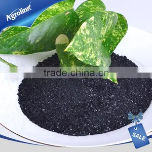 Seaweed Powder thumbnail-1