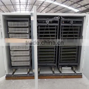 High Hatching Rate Fully Automatic Egg Hatching Machine thumbnail-4