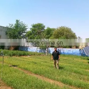 Solar Energy Drip Irrigation Fitting; Green House; PV Drip Irrigation System for Agriculture thumbnail-4