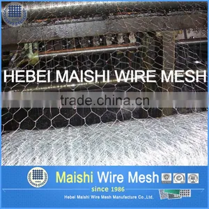 Bird Netting Galvanzied/PVC Coated Wire Netting thumbnail-6
