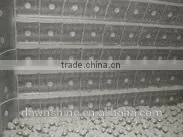 Miller Liner Casting for Industrial Cement Miller - MAGOTTEAUX Grinding Liner thumbnail-1
