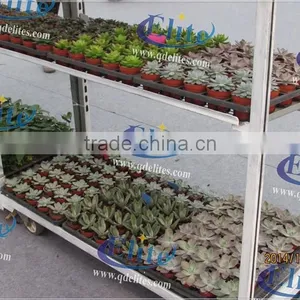 727 Seedling Retail Containers thumbnail-3