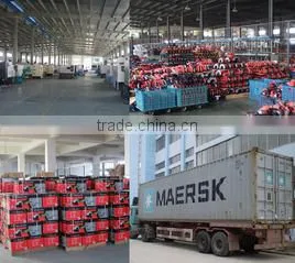 Roiwow Import & Export Co., Ltd. (Hangzhou) company overview - view 4 thumbnail