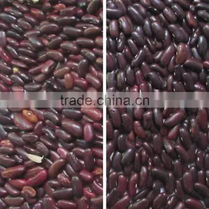 Bean Color Selecting Machine thumbnail-5