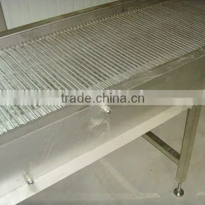 Bread Belt Conveyor thumbnail-1