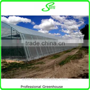 100x8m Agricultural Plastic Tunnel Greenhouse for Sale thumbnail-1