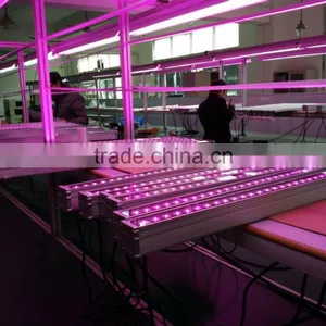Wholesale Vanq 54W LED Grow Bar Light for Vertical Farming thumbnail-2