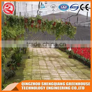 Agriculture Equipment Glass Greenhouse and Greenhouse Steel Frame thumbnail-5