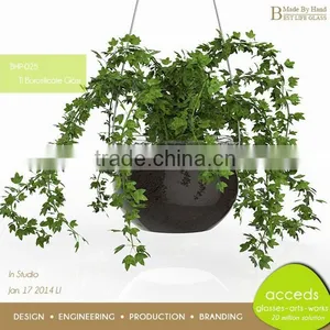 Clear Glass Hydroponic Pot thumbnail-2