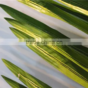 2017 Artificial Outdoor Palm Tree Plastic Palm Tree Palm Trees Sale thumbnail-5