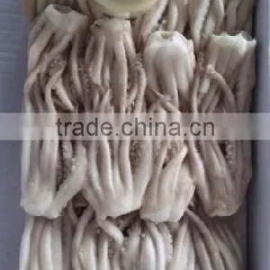 Frozen Illex Squid Tentacle thumbnail-3