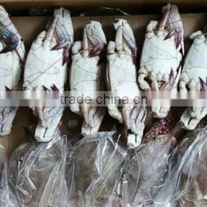 Frozen Blue Swimming Crab China Suppliers thumbnail-2
