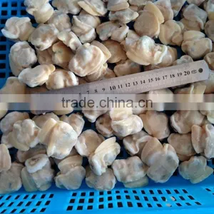 Sands off Short Necked Clam Meat thumbnail-1
