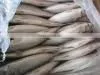 New Frozen Makcerel Fish 300-500g thumbnail-1