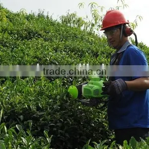 Double Edged Hedge Trimmer, 22.5cc, 1 HP /CE/GS thumbnail-3