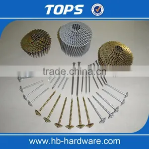Galvanized Twisted/Ring Shank Coil Nails thumbnail-5