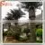 2016 Artificial Date Palm Tree For Swimming Pool Decoration thumbnail-3