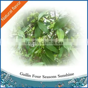 Star Aniseed Oil - Fragrance Oil thumbnail-1