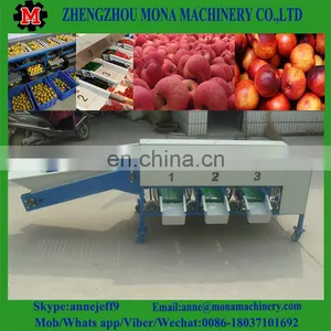 3ton/h Food Grade Industrial Fruit Fish Cassava Fruit Washing Grading Waxing Machine thumbnail-2