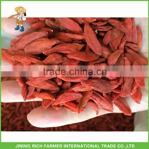 Dried Goji Berry of 350 Grains per 50 Gram thumbnail-1