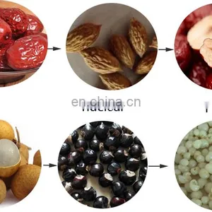 Date Longan Seed Removing Equipment Red Jujube Nuclear Pitting Machine. thumbnail-5