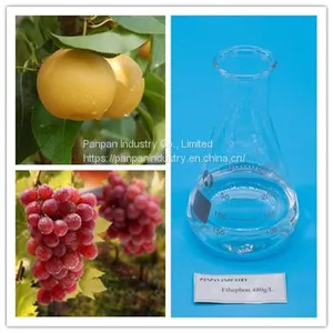 Factory Supply Pant Growth Regulator Ethephon 480g/l Ripening for Fruits and Vegetables thumbnail-2