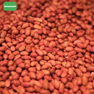 Selected Intact Red Coat Round Red Peanut Kernels 50/60 for Direct Roasting thumbnail-4