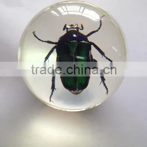 Hot Selling Small Crystal Ball With Real Ember Embedded for Promotional Gift thumbnail-5