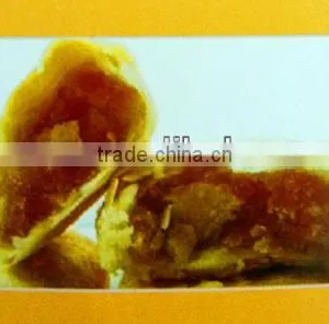 Hot Sale!!! Commercial Cookies Pastry Machine thumbnail-1